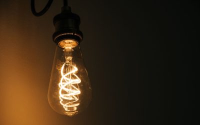 La révolution de l’énergie des algues : utopie ou réalité ?