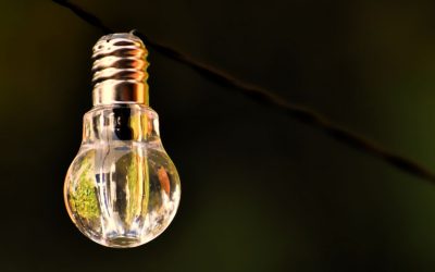 L’énergie de demain : Comment les abeilles pourraient alimenter nos villes?