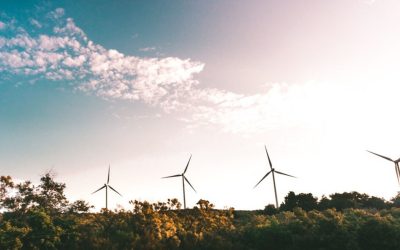 Énergies renouvelables et crise climatique : Pourquoi ne sont-elles pas encore la norme ?